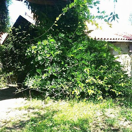 Hotel Quinta De Abol De Baixo Entre-os-Rios Exterior foto